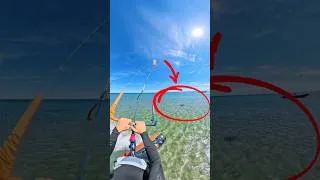 Miniature : SANG-FROID 🩸#glisse #kite #kitesurf #ride #riding #pov