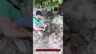 Miniature : ⚠️ ALERTE : nos rivières sont en train de disparaître !! Rien n'a été anticipé, c'est un MASSACRE !