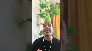 Miniature : La PROPRETÉ est un vrai problème à CASABLANCA
