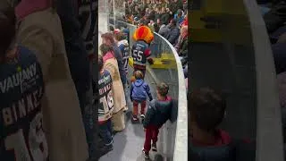 Miniature : Pas toujours facile d’être un loup… 😢 #hockey #BDL #bruleursdeloups #intermarche #loup #mascotte
