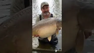Miniature : un très beau poisson 😍