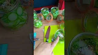 Miniature : recette des pickles de concombre à l'aneth comme a McDo