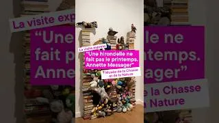Miniature : Notre visite de “Une hirondelle ne fait pas le printemps. Annette Messager”