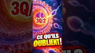 Miniature : QUESTION IMPORTANTE DE BIO:  pourquoi l’ADN passe de Q à 3Q 2 dans l’ovocyte II ?