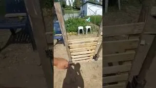 Miniature : Séparation Potager + clôture