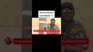 Miniature : Vol sur facture normalisée 👇