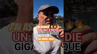 Miniature : Un incendie gigantesque 🔥🔥. j'y ai assisté, mon témoignage #feu #incendie #pyromane #danger #pompier