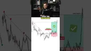 Miniature : Ce biais cognitif coûte cher à 97% des traders..  #trading #forex #trader