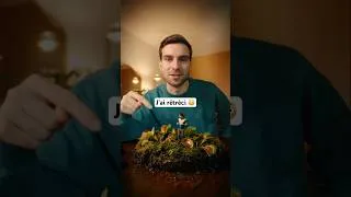 Miniature : Créer un effet de miniaturisation ! 😳
