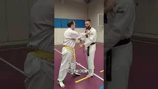 Miniature : Pensez au timing en Hoshinsul ⌛