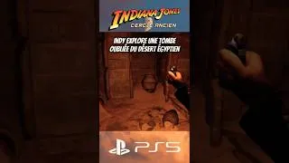 Miniature : Indy explore une tombe oubliée du désert égyptien - Indiana Jones PS5
