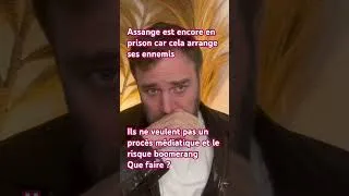 Miniature : Bertrand SCHOLLER : ASSANGE devrait être libre ou devant un tribunal pas à croupir … vainement !