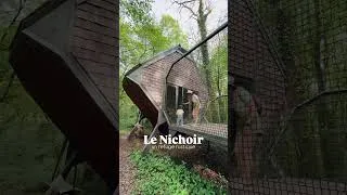 Miniature : Nuit Insolite au milieu de la forêt