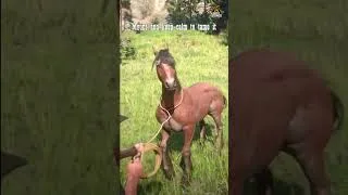 Miniature : ​I Finally Found the Legendary Tiger Striped Mustang in RDR2#shorts