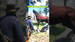 Miniature : Where to Find the Fast Wild Race Horse  #Short #gaming