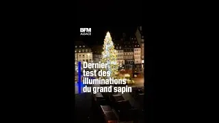 Miniature : Strasbourg: les illuminations du grand sapin du marché de Noël 🎄
