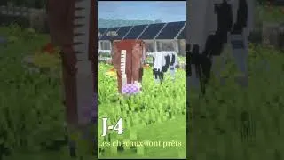 Miniature : J-4 avant l'ouverture de l'Académie de Montélis | Les chevaux sont prêts