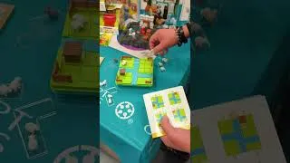 Miniature : Pose moutons smart games
