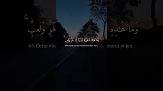 Miniature : #islam #quran #coran #rappel #sunna #love #sounnah #peace #youtube #shorts #life #explore #reality