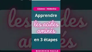 Miniature : 3 étapes pour apprendre les 20 acides aminés