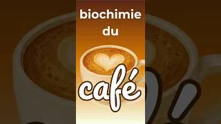 Miniature : Comment fonctionne réellement la caféine #explication #shorts #biochimie #science