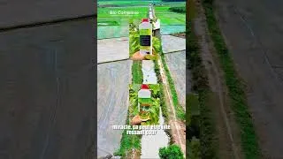 Miniature : Conseils pratiques pour appliquer les produits BioComplexe #agriculture #engraisbio