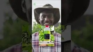 Miniature : Découvrez l’insecticide naturel Bio Complexe #biocomplexe #agriculture #engraisbio #cameroun