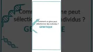 Miniature : Comment un gène peut sélectionner des individus ?