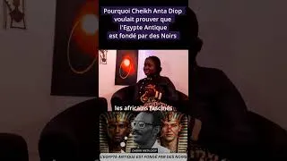 Miniature : Pourquoi Cheikh Anta Diop voulait prouver que l'Égypte antique est NOIR
