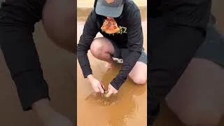 Miniature : ¡Un Gusano Apareció Mientras Comía Pizza! 😱
