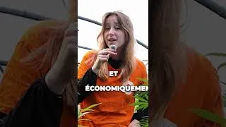 Miniature : Huiles CBD interdites en France dès le 15 mai, voici pourquoi c'est une erreur