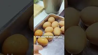 Miniature : La Nouvelle Agriculture® engagée avec Bleu-Blanc-Cœur