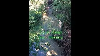 Miniature : Cours d'eau du parc thermal de Châtel-Guyon
