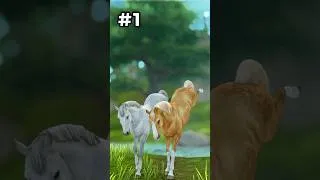 Miniature : Can You Guess?👀 #sso #starstable #starstableonline #ssoedit #horsegame #horse