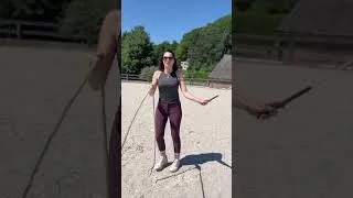 Miniature : POV : tu es un cheval et ton humain ne connaît pas le Nouveau Monde