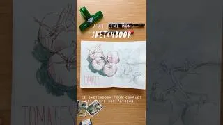 Miniature : Le sketchbook tour est dispo sur mon Patreon !
