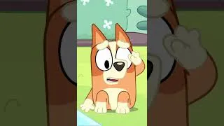 Miniature : Bingo l'inspecteur des insectes 🐞🔍 | Bluey Français Chaîne Officielle #ytshorts