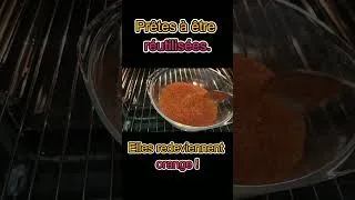 Miniature : Ne jetez plus vos billes de silice voici comment les régénérer