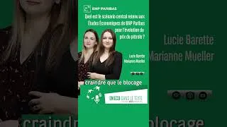 Miniature : Quel est le scénario central retenu aux Études Économiques pour l'évolution du prix du #Pétrole ?