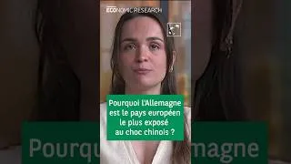 Miniature : Pourquoi l'Allemagne est le pays européen le plus exposé au choc chinois ?