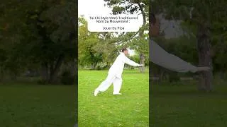 Miniature : Découvrez l'Art du Tai Chi
