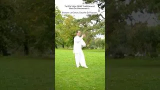 Miniature : Démonstration des mouvements traditionnels de Tai Chi Style YANG