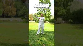 Miniature : Démonstration gracieuse des mouvements traditionnels de Tai Chi Style YANG