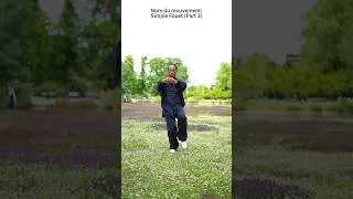 Miniature : Démonstration gracieuse des mouvements traditionnels de Tai Chi Style YANG
