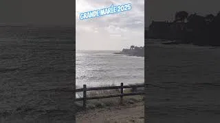 Miniature : Grande marée 2025 #shorts #maree 🌊🌬