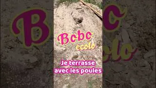 Miniature : Terrassement avec les poules