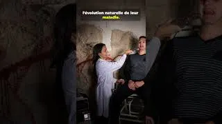 Miniature : “L’expérience qu’on n’a plus jamais le droit de refaire”