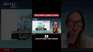 Miniature : La Chine bloque les voyages de groupe au Japon