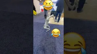 Miniature : C’est le toutou à qui? 🤣