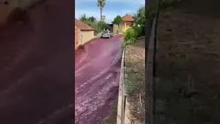 Miniature : 2,2 millions de litres de vin rouge